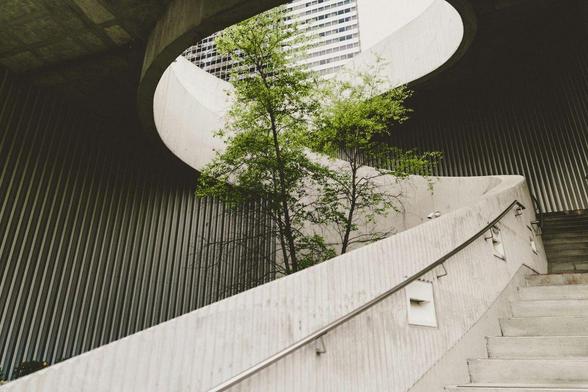 Photo: Concrete staircase with tree, Creator: Alexander Abero, Owner: unsplash.com
