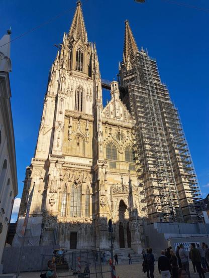 Regensburger Dom, von der Sonne beleuchtet und aufgenommen vor einem klaren Tageshimmel. Die rechte Seite ist mit einem Baugerüst eingerahmt. Foto von Katja Sternitzke.